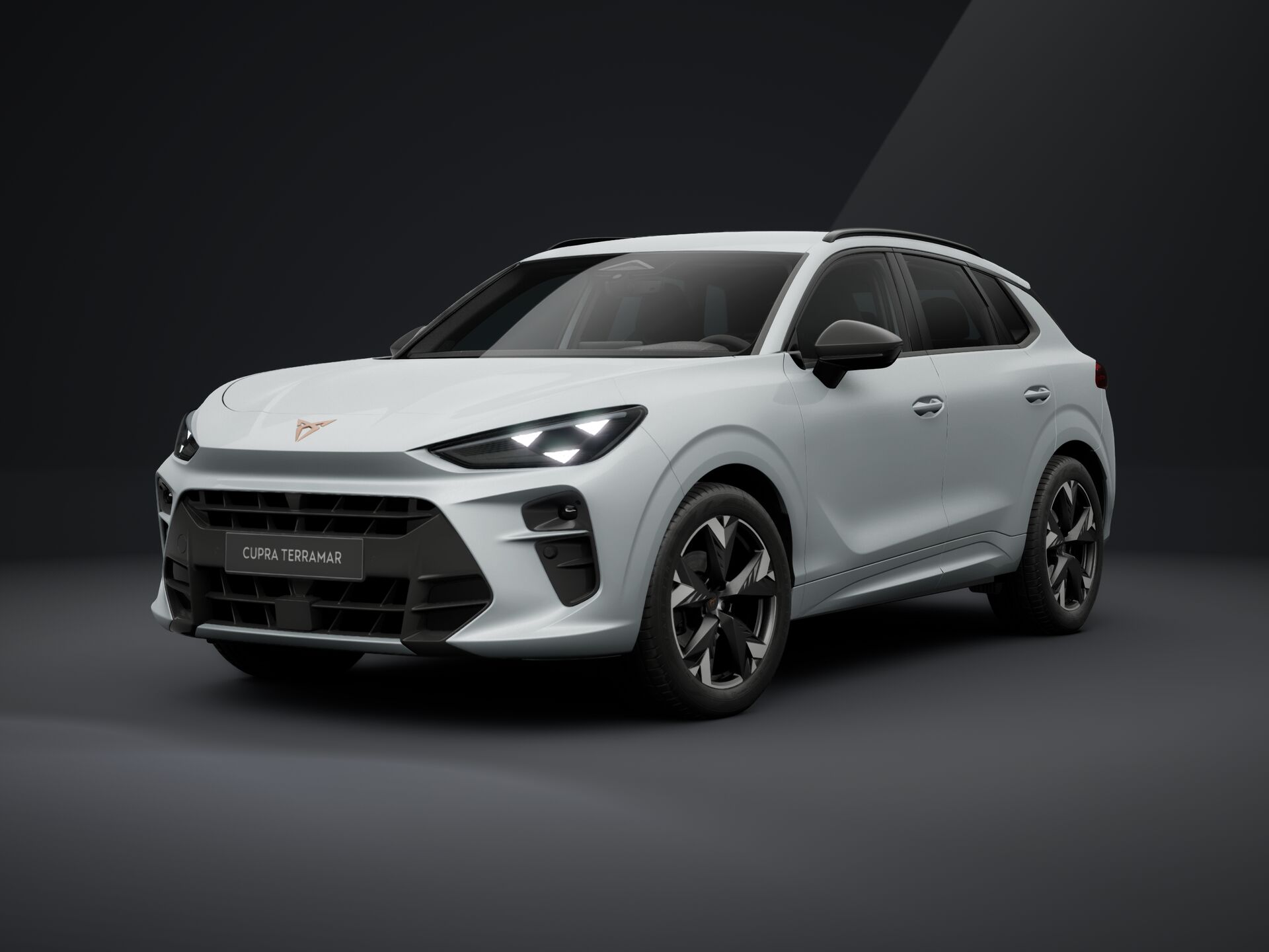 CUPRA Terramar eTSI 150 DSG