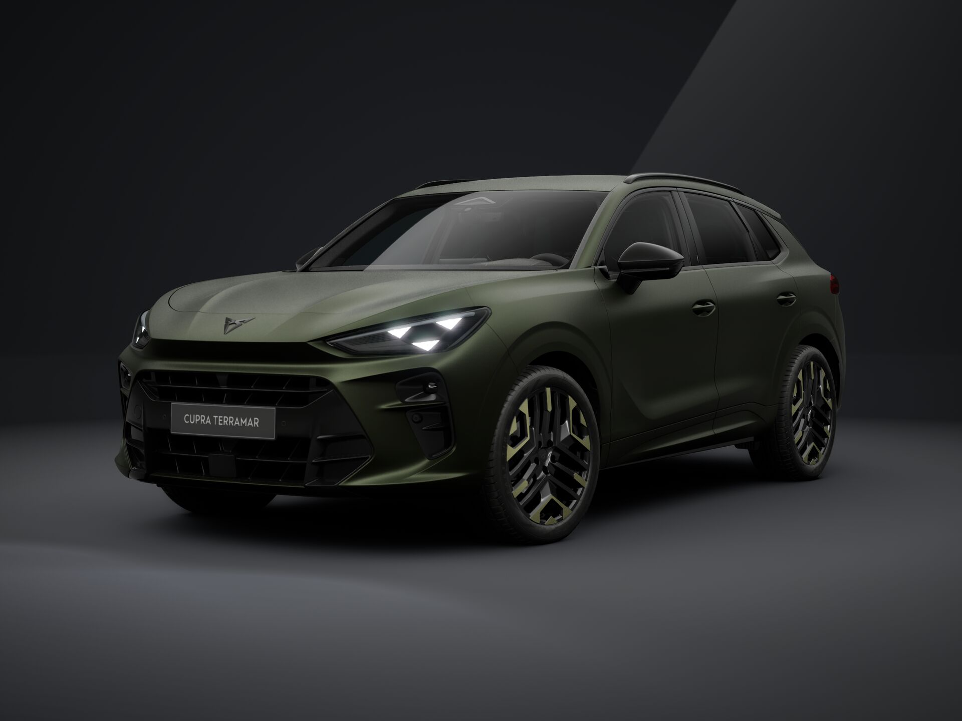 CUPRA Terramar eTSI 150 DSG Tribe Edition